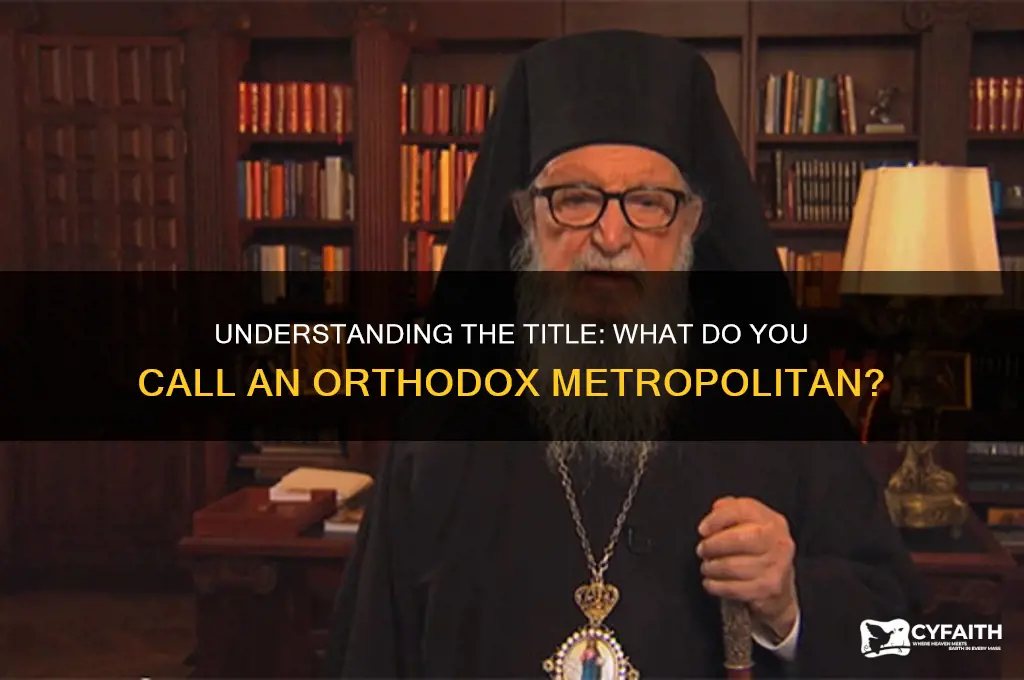 what do you call an orthodox metropolitan