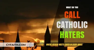 Understanding Anti-Catholic Sentiment: What Do You Call Catholic Haters?