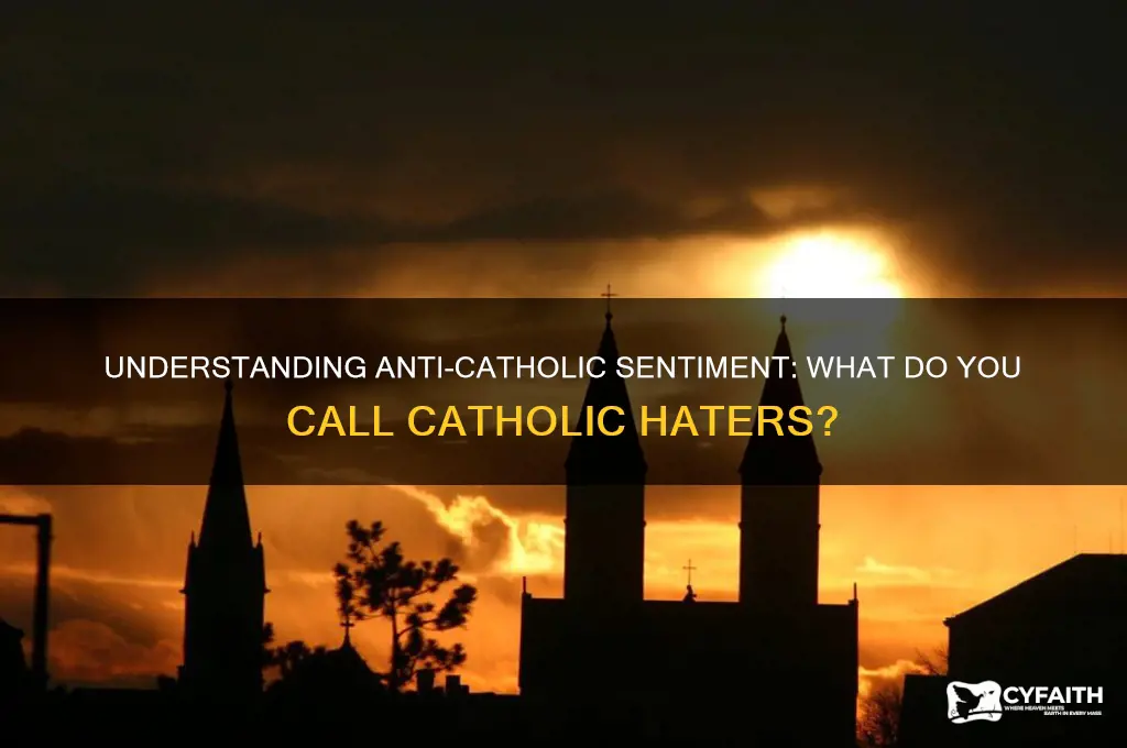 what do you call catholic haters
