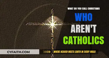 Non-Catholic Christians: Understanding the Diversity Beyond Catholicism