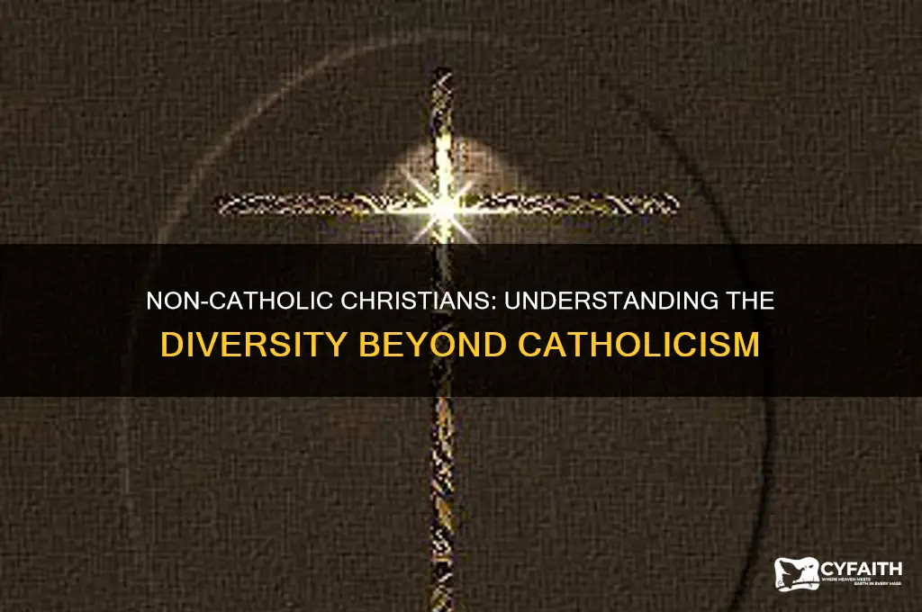 what do you call christians who aren