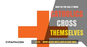 Understanding the Catholic Sign of the Cross: Its Name and Meaning