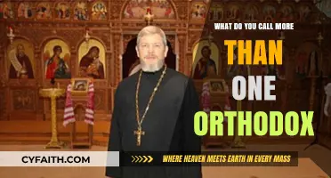 Understanding the Term for Multiple Orthodox Christians: A Linguistic Exploration