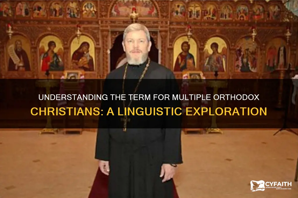what do you call more than one orthodox