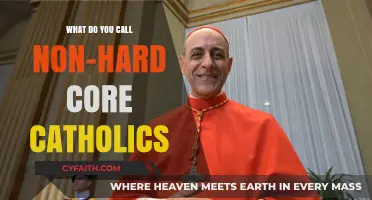 Exploring the Faith: Understanding Non-Hardcore Catholics and Their Practices