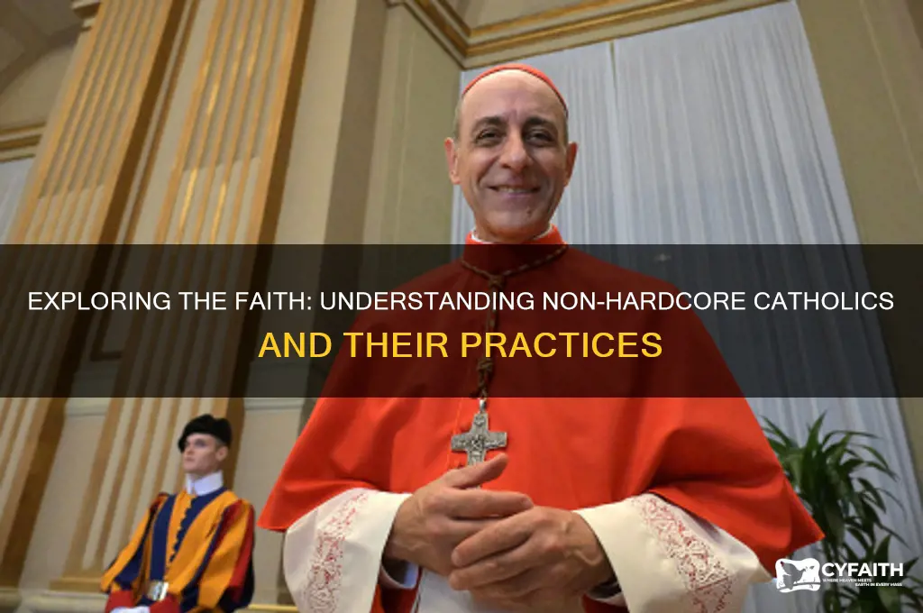 what do you call non-hard core catholics