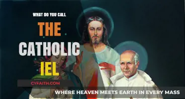 Understanding the Catholic IEL: Its Name, Role, and Significance Explained