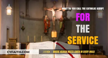 Understanding the Catholic Liturgy: The Official Script for Church Services