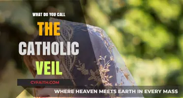 Understanding the Catholic Veil: Names, Traditions, and Significance Explained
