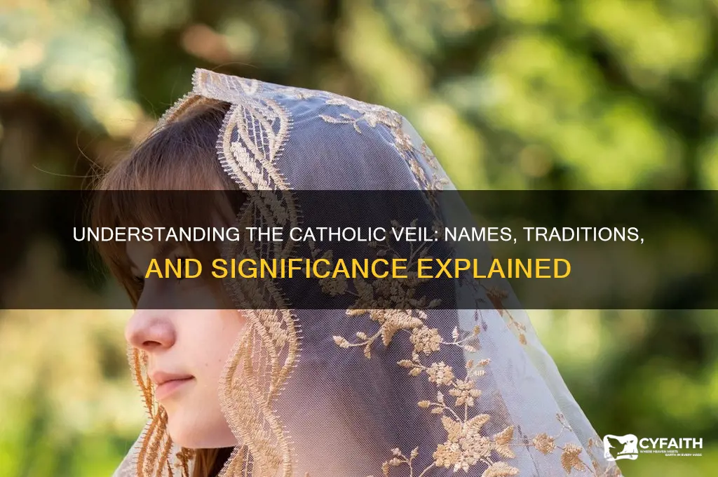 what do you call the catholic veil