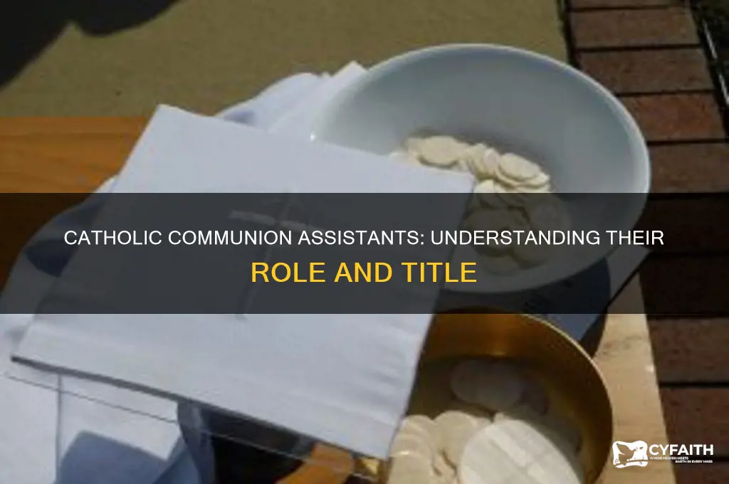 what do you call the helpers at catholic communion