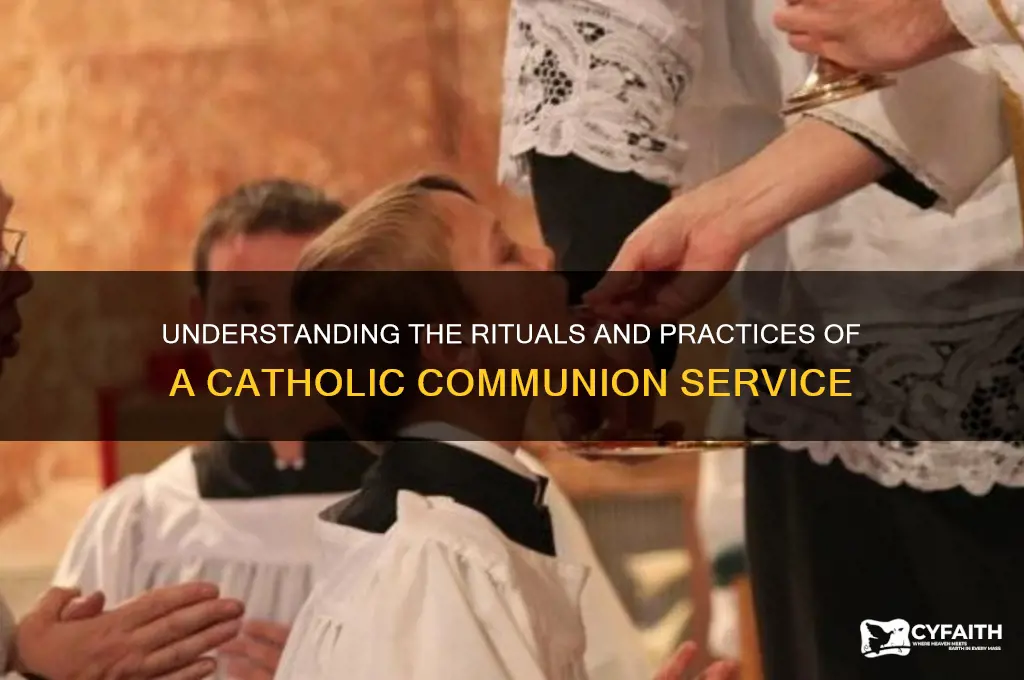 what do you do in a catholic communion service