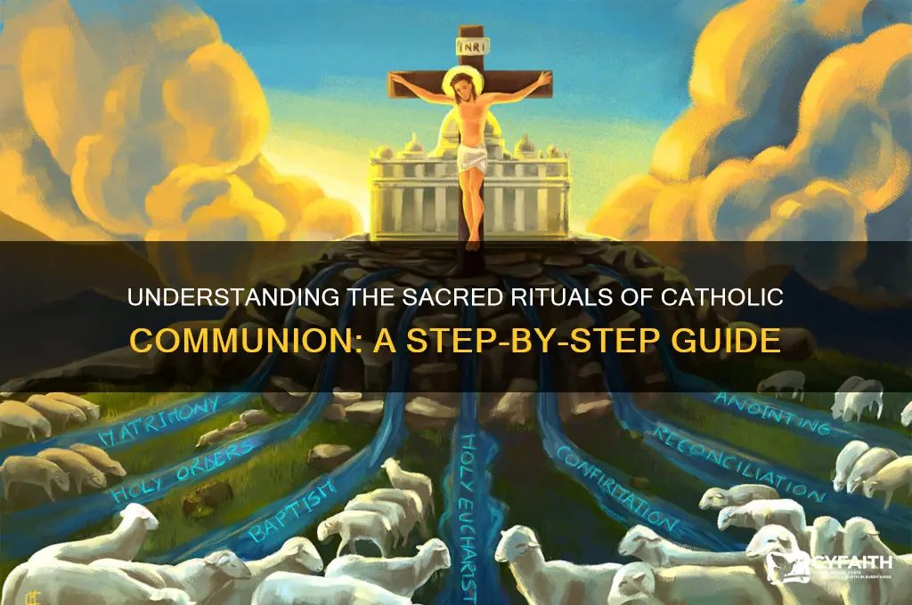 what do you do in a catholic communion