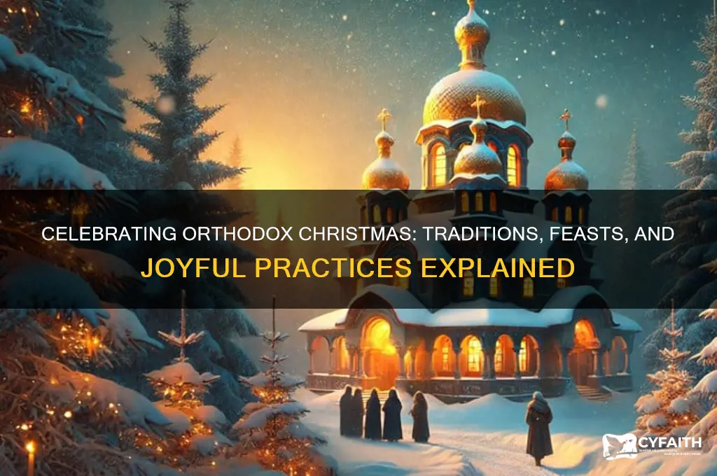 what do you do on orthodox christmas