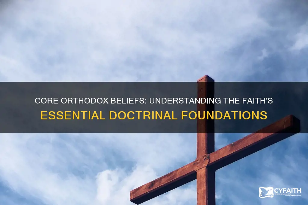 what do you have to believe to be orthodox
