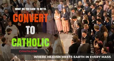 Steps to Embrace Catholicism: A Guide to Converting to the Faith