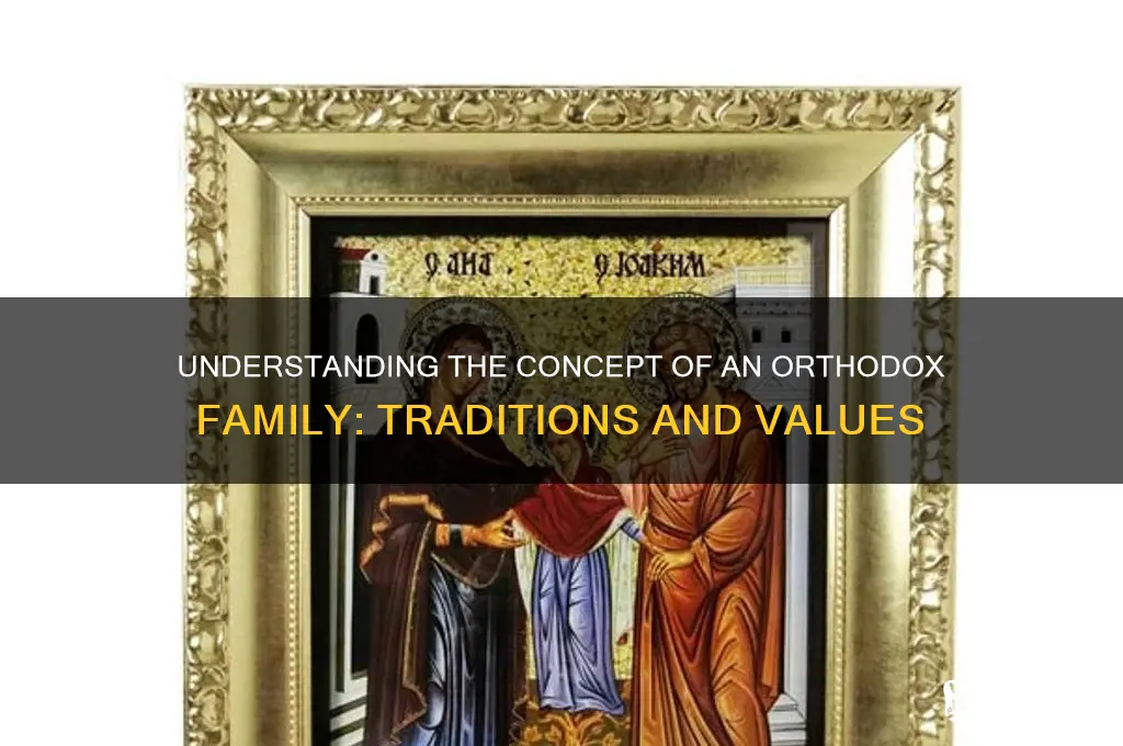 what do you mean by orthodox family