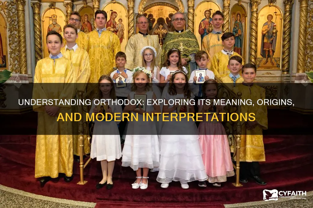 what do you mean by the word orthodox