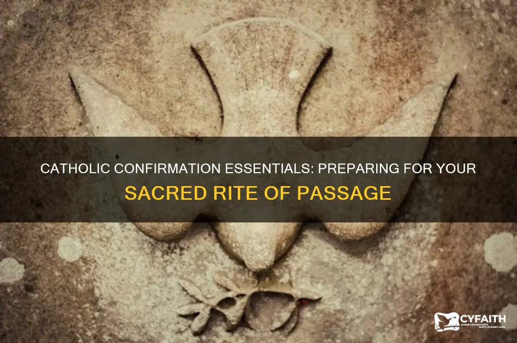 what do you need for catholic confirmation