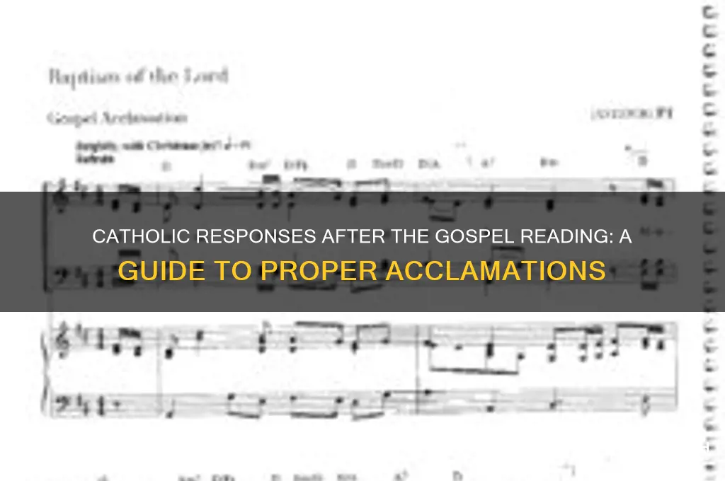 what do you say after gospel reading catholic