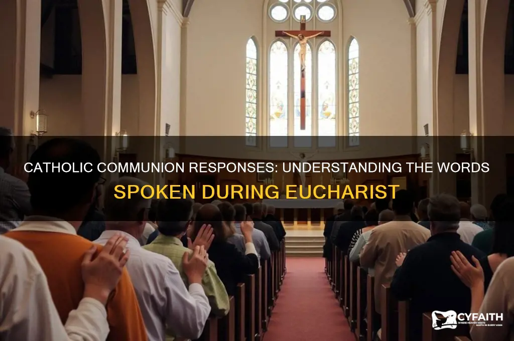 what do you say at catholic communion