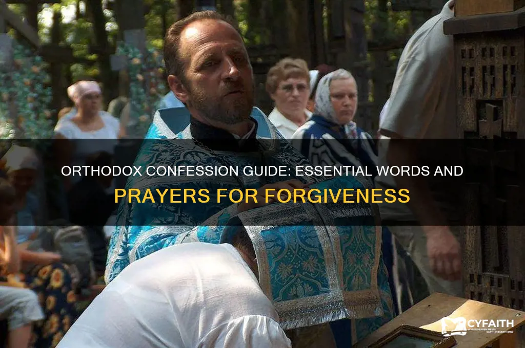 what do you say in confession orthodox