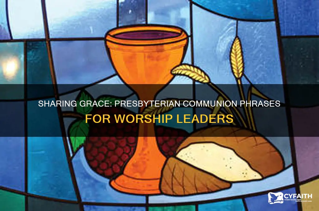 what do you say when giving communion at presbyterian