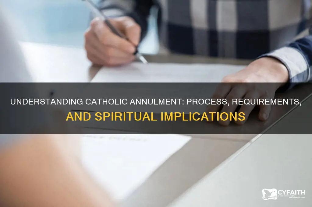 what does a catholic annulment entail