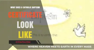 Understanding the Design and Details of a Catholic Baptism Certificate