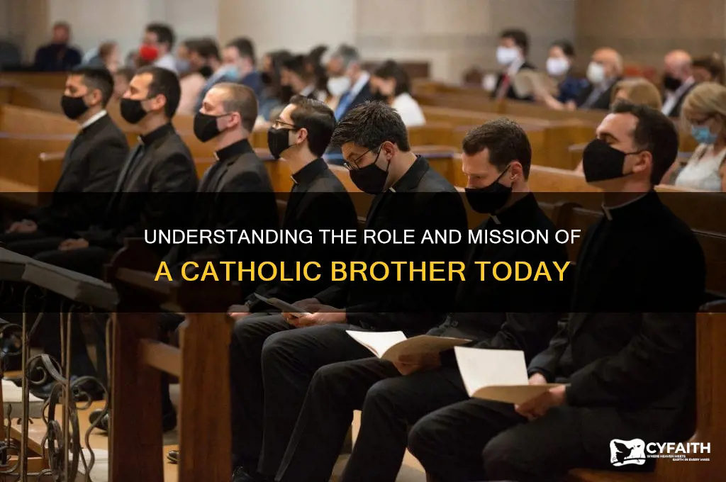 what does a catholic brother do