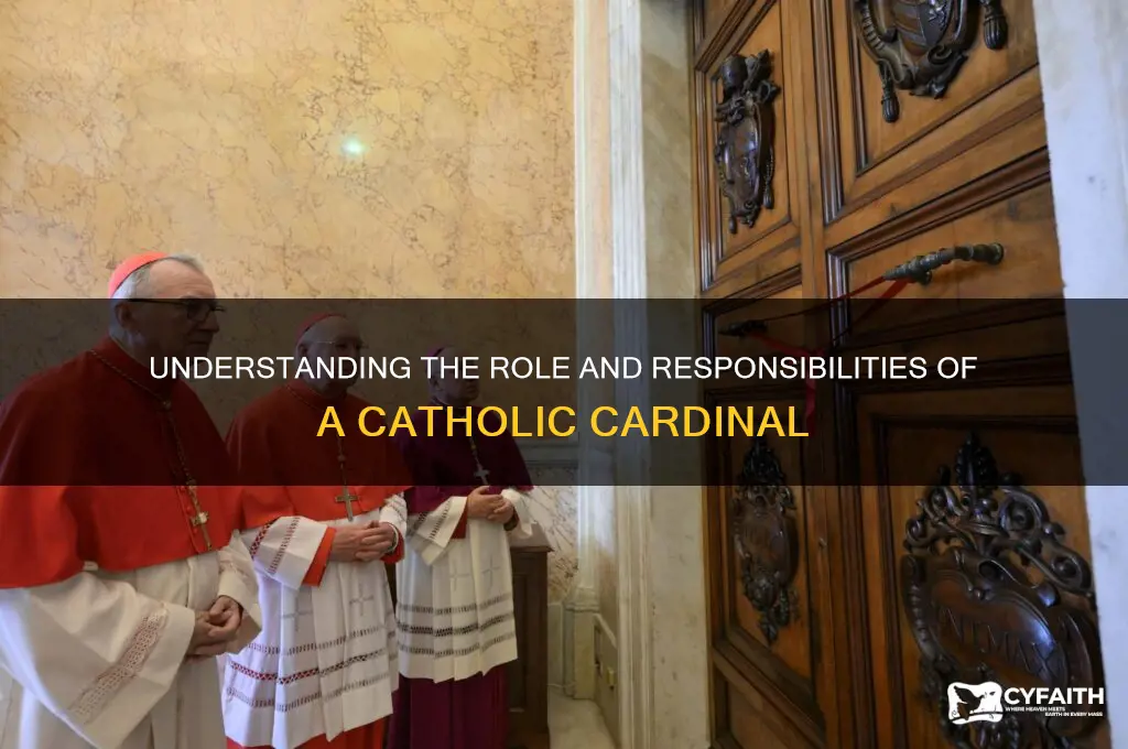 what does a catholic cardinal do