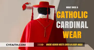 The Cardinal's Vestments: A Guide to Catholic Clerical Wear