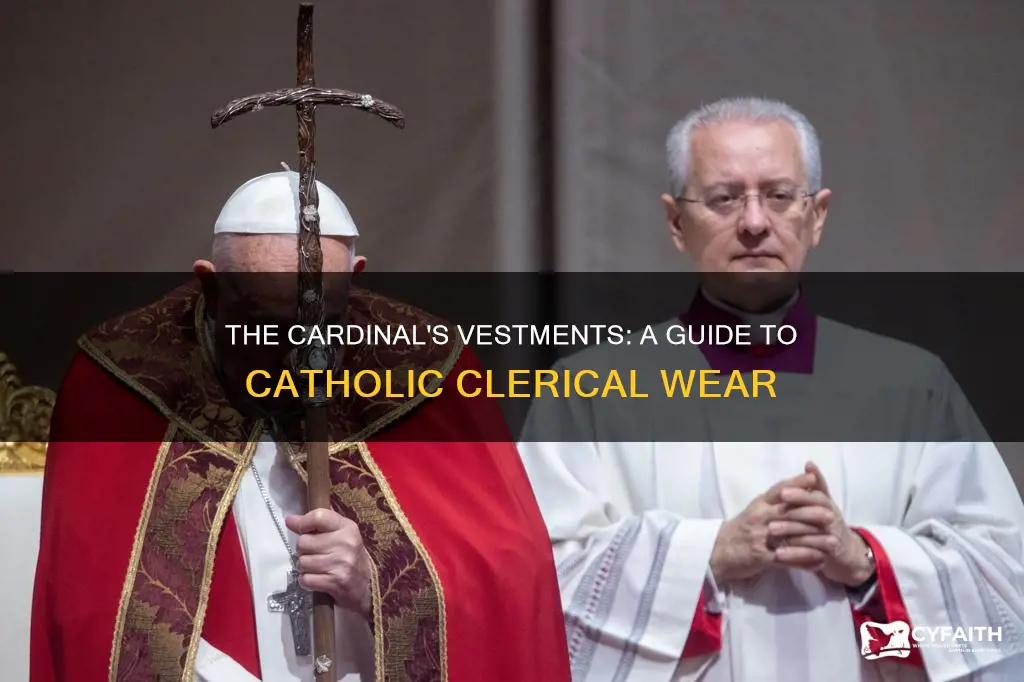 what does a catholic cardinal wear