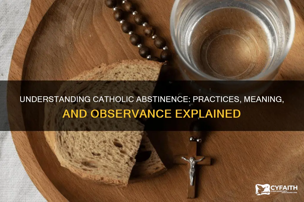 what does a catholic day of abstinence consist of