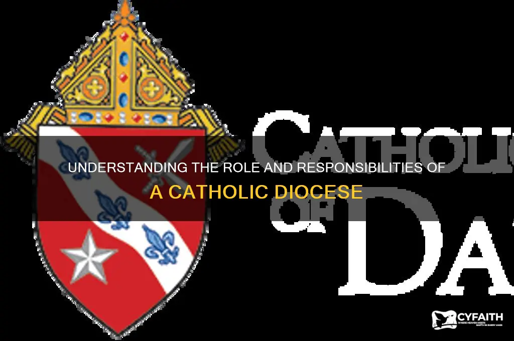 what does a catholic diocese do