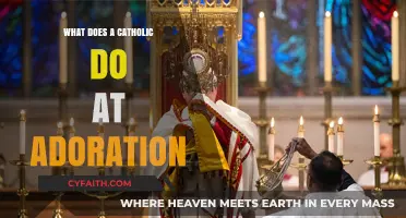 Understanding Catholic Adoration Practices: A Guide to Eucharistic Devotion