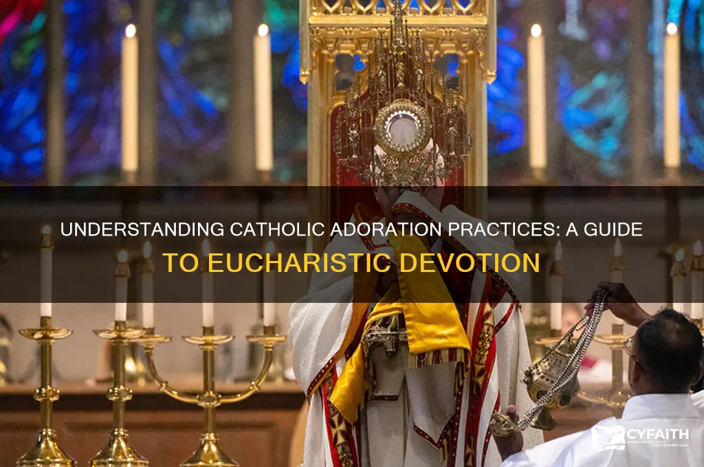 what does a catholic do at adoration
