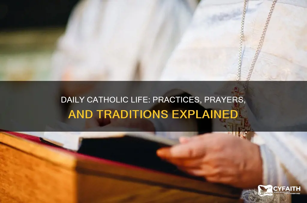 what does a catholic do everyday