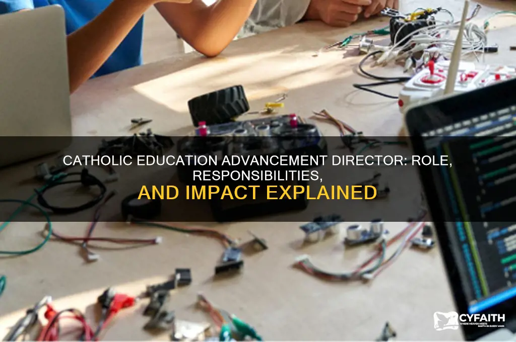what does a catholic education advancement director do