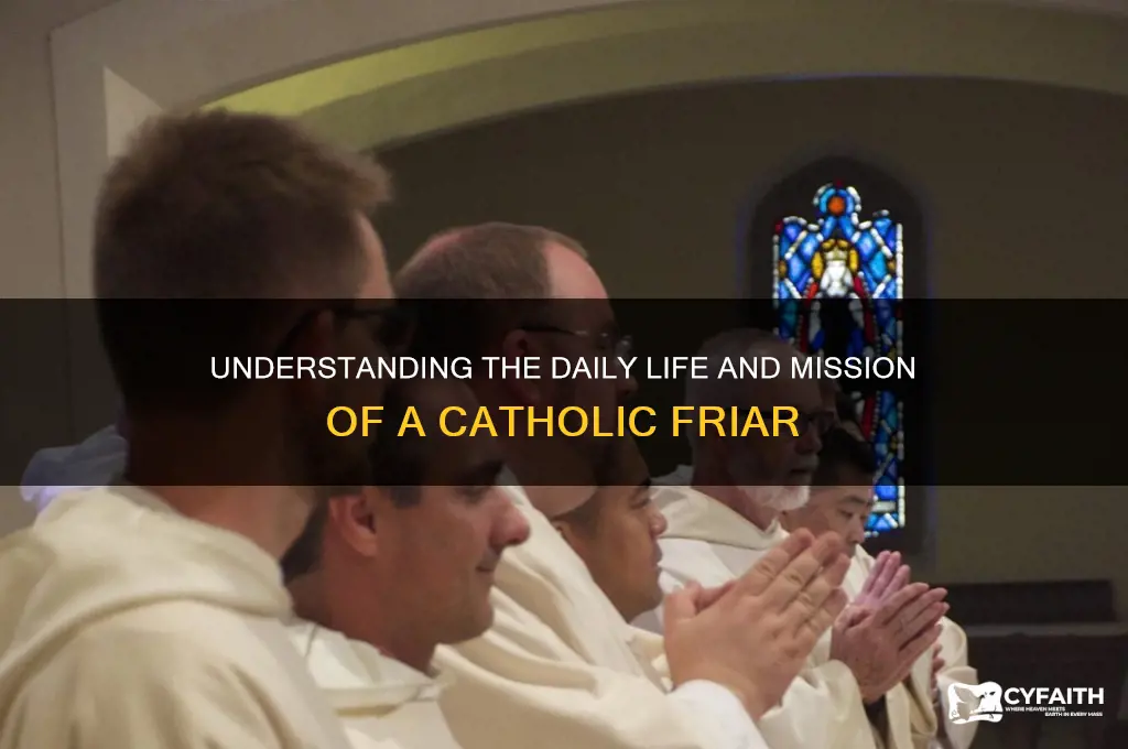 what does a catholic friar do