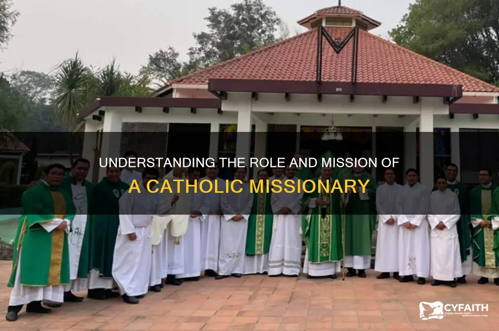 what does a catholic missionary do