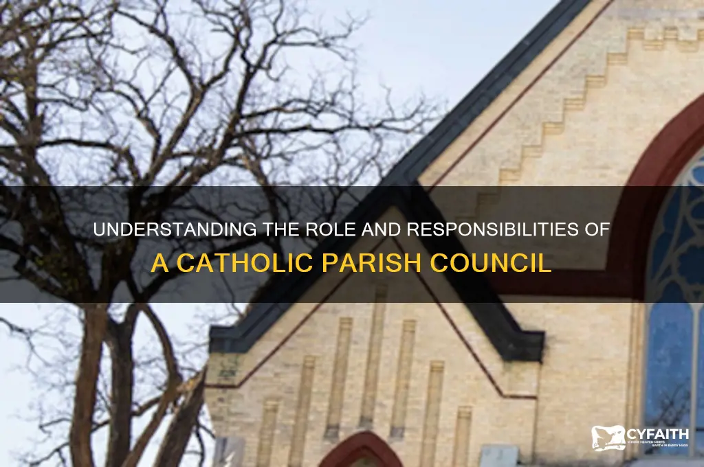 what does a catholic parish council do