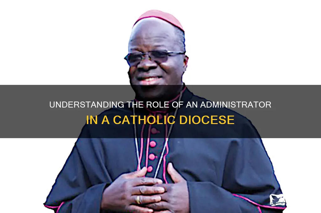 what does an administrator do in catholic diosesis
