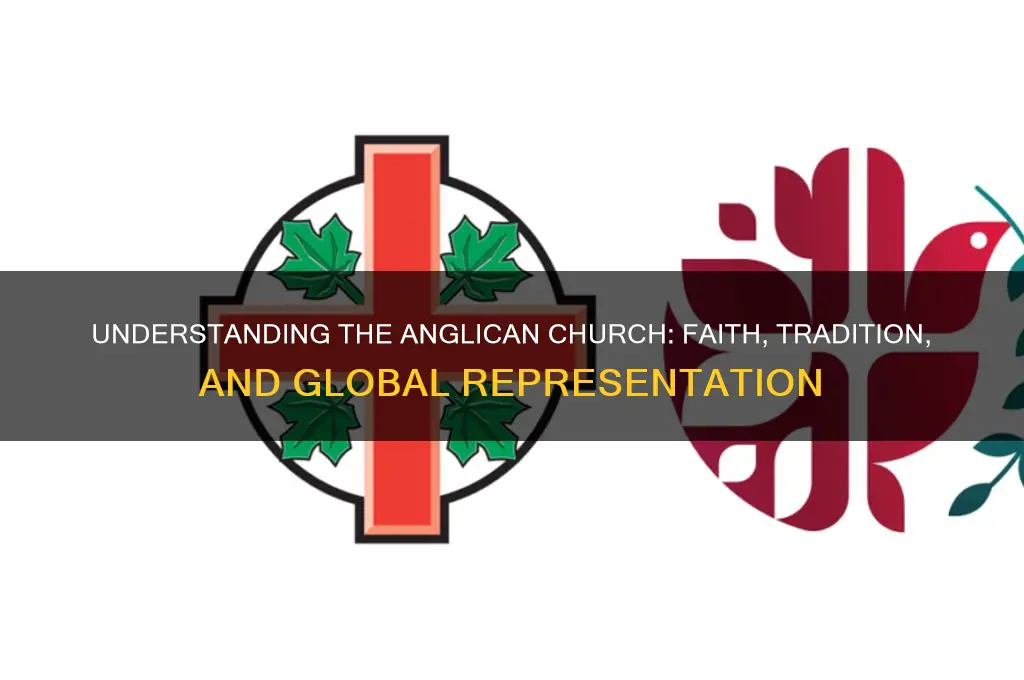 what does an anglican church represent