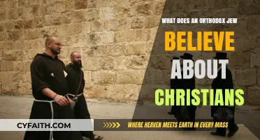 Orthodox Jewish Perspectives on Christianity: Beliefs, Relations, and Understanding