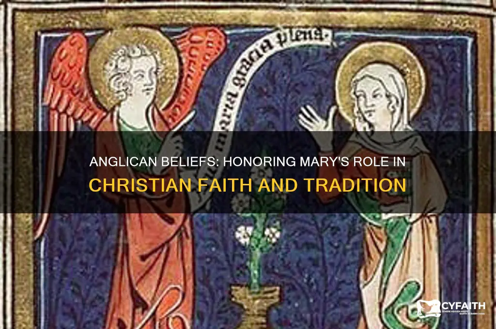 what does anglican believe in mary