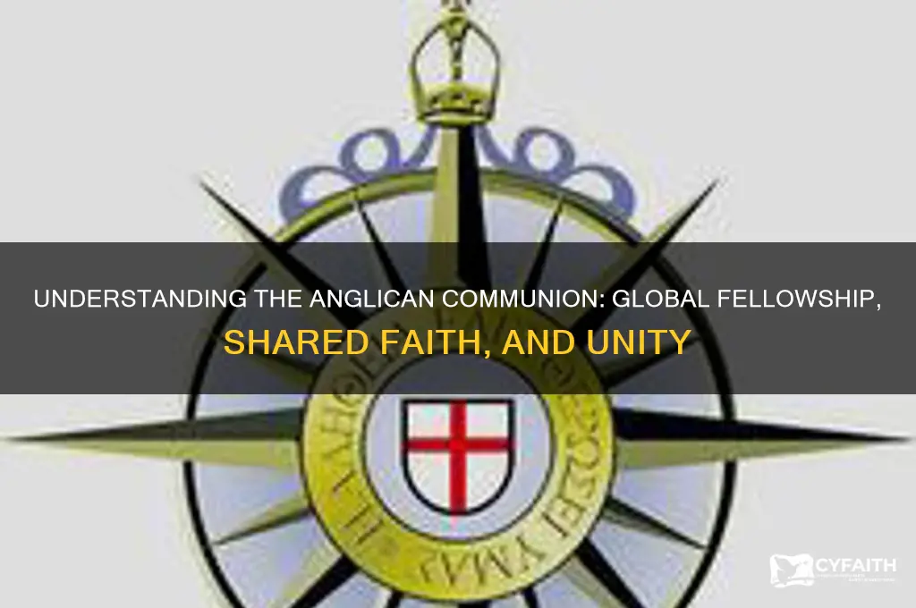 what does anglican communion mean