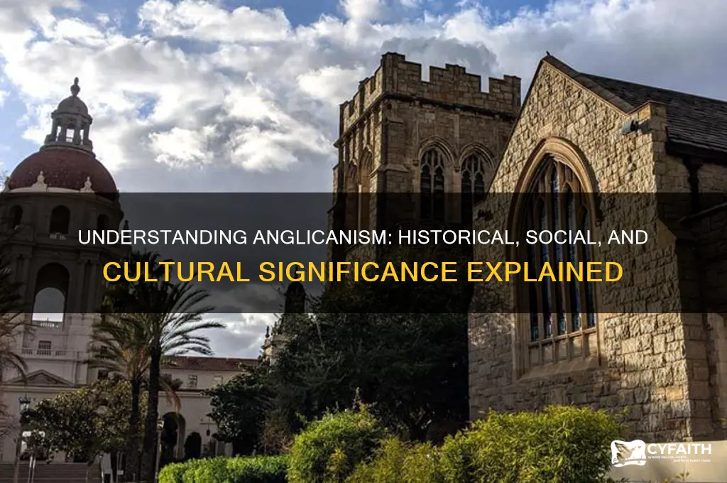 what does anglican mean in social studies