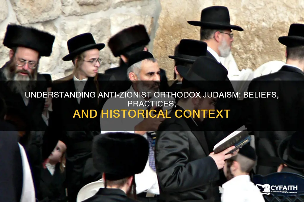 what does anti-zionist orthodox mean