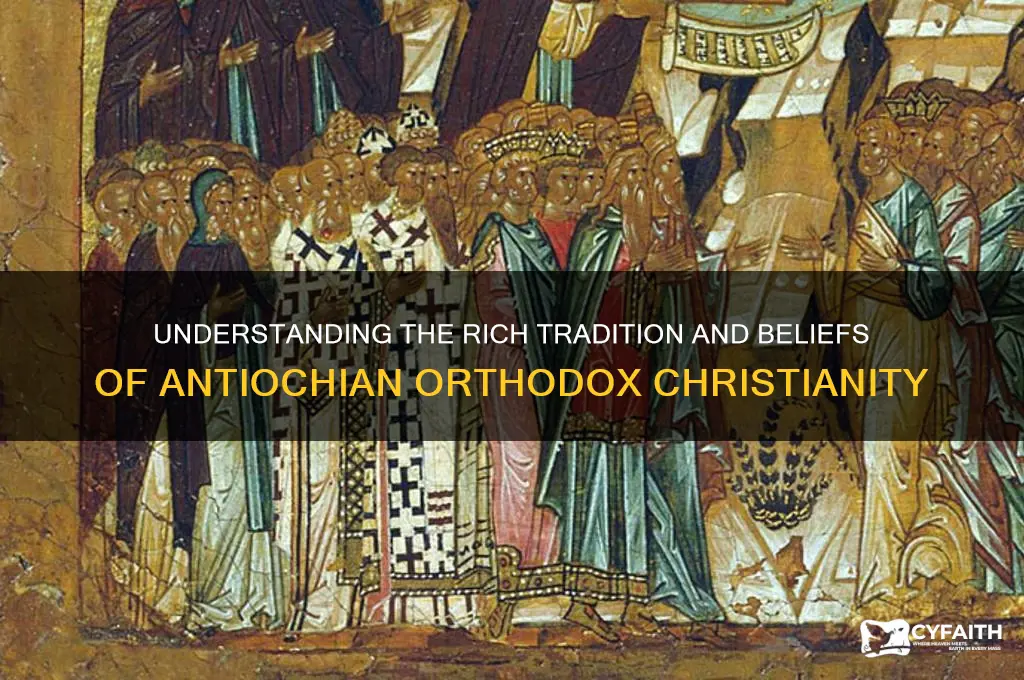 what does antiochian orthodox mean